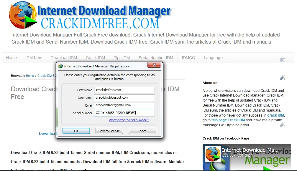 Internet Download Manager 6.28 Crack Serial Key